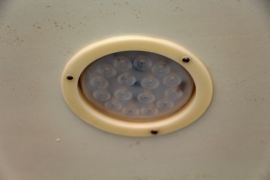 图雅诺&nbsp;冷藏车上装图片