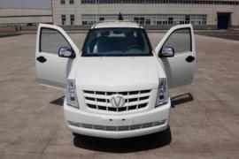 成功X1&nbsp;皮卡外观                                                图片