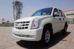 成功X1 2014款 基本型 2.4L汽油 双排皮卡