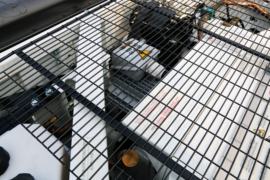 HOWO T5G&nbsp;冷藏车上装图片