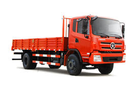 风度&nbsp;载货车官方图图片