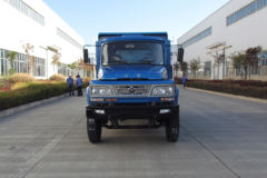 时骏 王子轻卡 116马力 3.32米自卸车(LFJ3045F1)