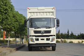 东风专底&nbsp;载货车外观                                                图片