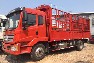 大运 风驰中卡 160马力 4X2 6.75米排半仓栅式载货车(CGC5161CCYD4UAA)