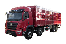 祺龙T&nbsp;载货车官方图图片