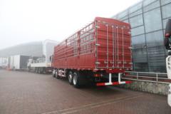 中国重汽 豪瀚J5G重卡 280马力 8X2 9.5米仓栅式载货车(ZZ5315CCYN46G3E1)