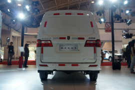 骐运&nbsp;电动封闭厢货外观图片