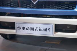 骐运&nbsp;电动载货车外观图片