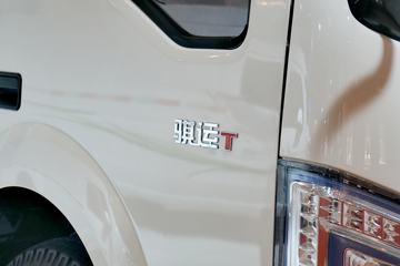 骐运&nbsp;电动载货车外观图片