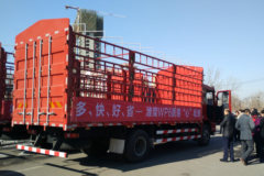 陕汽重卡 德龙L3000 220马力 4X2 6.75米排半仓栅式载货车(SX5180CCYLA12)