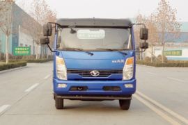 风驰&nbsp;载货车外观                                                图片