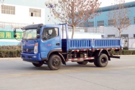 风驰&nbsp;载货车外观                                                图片