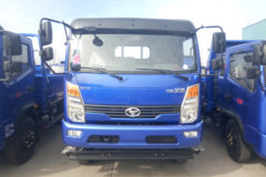 时风 风驰 130马力 3.8米排半仓栅式轻卡(SSF5041CCYDJ75)