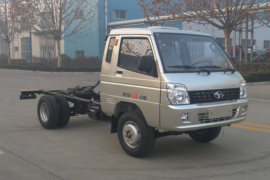 风菱&nbsp;载货车外观                                                图片