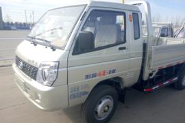 风菱&nbsp;载货车外观                                                图片