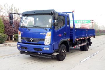 时风 风驰 143马力 5.29米排半栏板载货车(SSF1152HJP77)