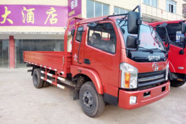 福星卡&nbsp;载货车外观                                                图片