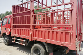 福星卡&nbsp;载货车外观                                                图片