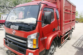 福星卡&nbsp;载货车外观                                                图片