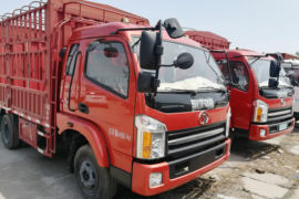 福星卡&nbsp;载货车外观                                                图片