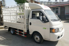江淮 康铃X5 豪华型 1.3L 87马力 3.1米单排仓栅式微卡(HFC5030CCYPV7E2B3V)