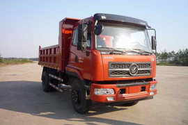 龙骏&nbsp;自卸车外观                                                图片