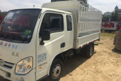 跃进 小福星S50Q 1.3L 87马力 汽油 3.165米排半仓栅式微卡(后双胎)(轴距:2800)(NJ5032CCYPBGBNZ)