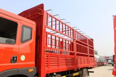 东风 多利卡D9 160马力 4X2 6.8米仓栅式载货车(EQ5161CCYL9BDGAC)