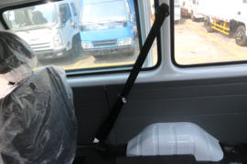 特顺&nbsp;VAN/轻客货厢图片