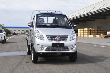 �Ͽ����� ����Fϵ 1.3L 87���� ���� 2.6�׵�������΢��(NJA1021SDB34V)ͼƬ