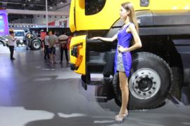 威龙&nbsp;自卸车外观                                                图片