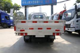 瑞逸F系&nbsp;载货车外观                                                图片