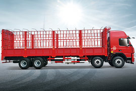 大运新N8E&nbsp;载货车官方图图片