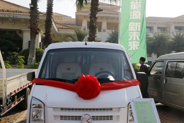 C35&nbsp;电动封闭厢货外观图片