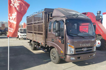 唐骏欧铃 T3系列 113马力 3.88米排半仓栅式轻卡(ZB5041CCYJPD6V)