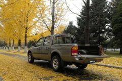 黄海 傲骏 豪华型 2009款 两驱 2.4L柴油 双排皮卡