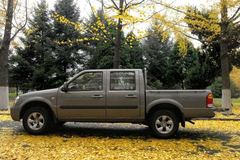 黄海 傲骏 豪华型 2009款 两驱 2.4L柴油 双排皮卡