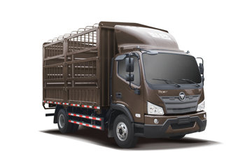 福田 瑞沃ES3 160马力 4X2 4.18米单排仓栅式轻卡(BJ5043CCY-AH)