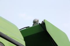 陕汽商用车 轩德X3 385马力 6X4渣土自卸车