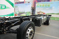 陕汽商用车 轩德X6中卡 240马力 6X2 7.8米栏板载货车底盘(SX1255GP5)