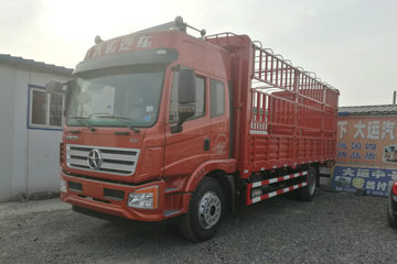 大运 风驰中卡 170马力 4X2 6.2米排半仓栅式载货车(DYQ5160CCYD5AC)