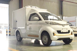 智骐&nbsp;电动载货车外观图片