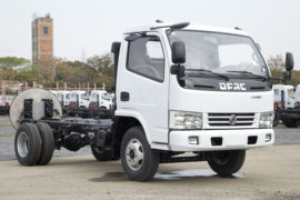 多利卡&nbsp;载货车外观                                                图片