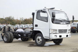 多利卡&nbsp;载货车外观                                                图片