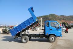 时骏 D510 82马力 3.2米自卸车(LFJ3041SCG2)