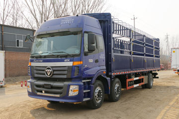  ŷETX 6ϵؿ 245 6X2 9.53ײդʽػ()(BJ5257CCY-XA)ͼƬ