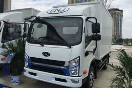 瑞吉&nbsp;载货车外观                                                图片