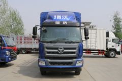 降价促销驻马店瑞沃Q9载货车仅售20.8万