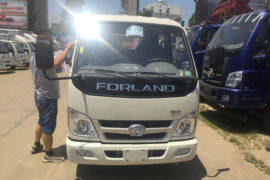 瑞沃E3&nbsp;载货车外观                                                图片