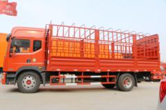 东风 多利卡D9 180马力 4X2 6.8米仓栅式载货车(EQ5161CCYL9BDGAC)